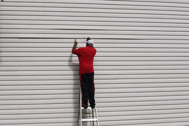 Best Insulated Siding Installation  in Oneida, TN